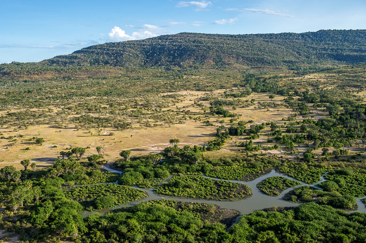 национальный парк в танзании
