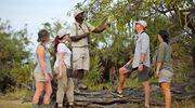 Roho Ya Selous, Walking Safari Examining The Surrounding Vegetation Copy